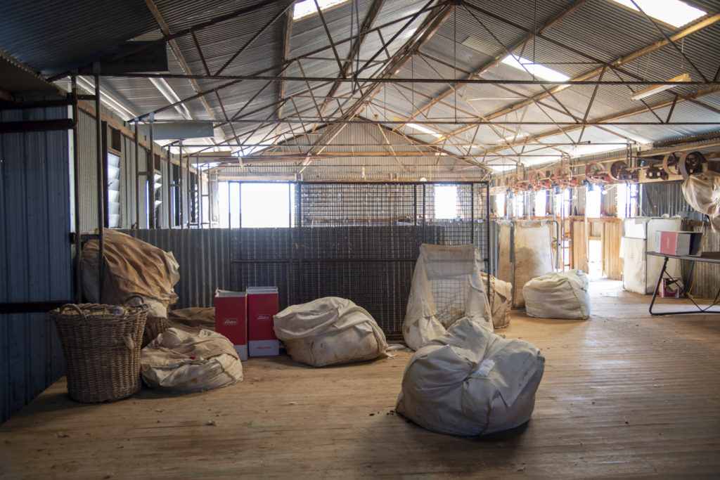 Shearing shed when sheep shearing is finished