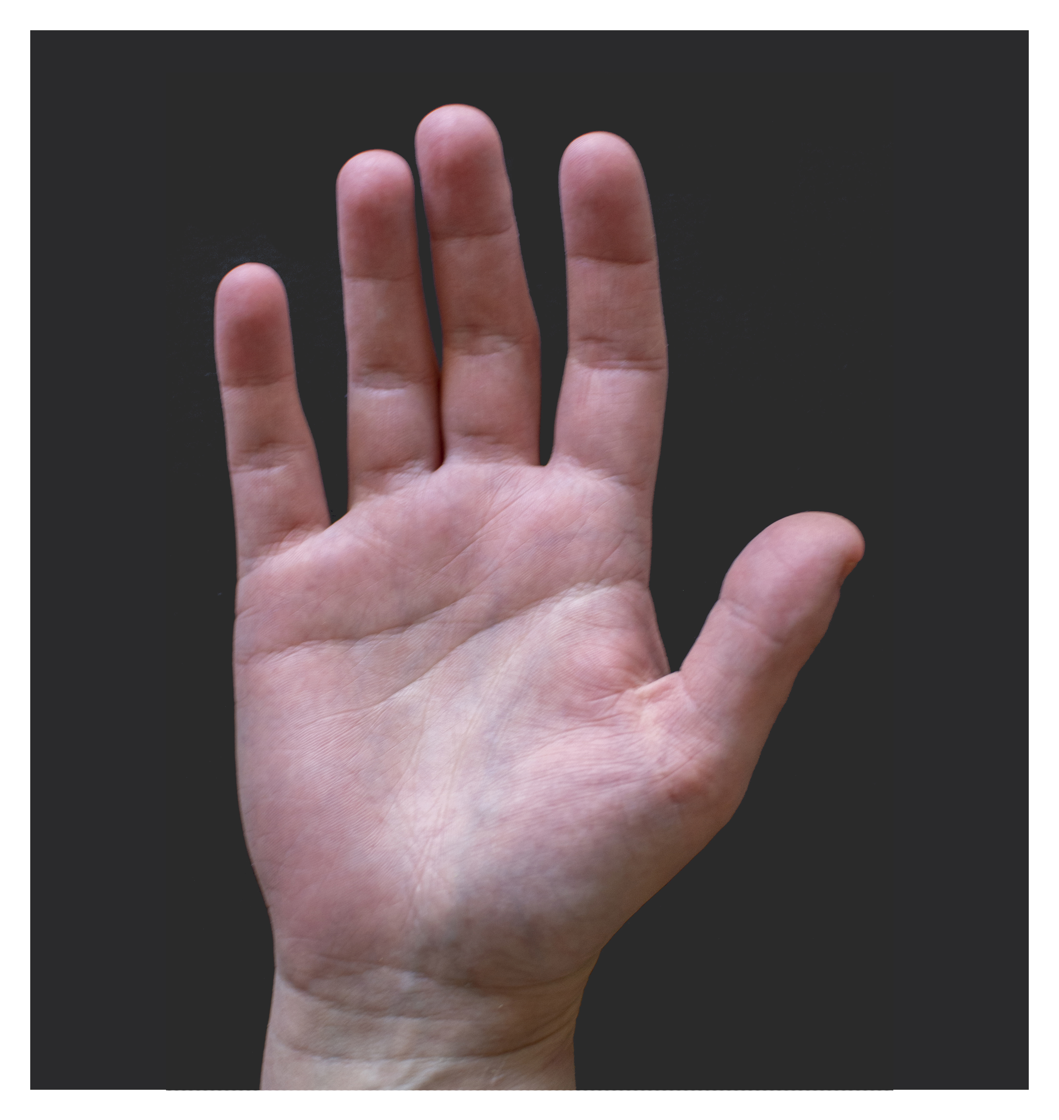 Female palm