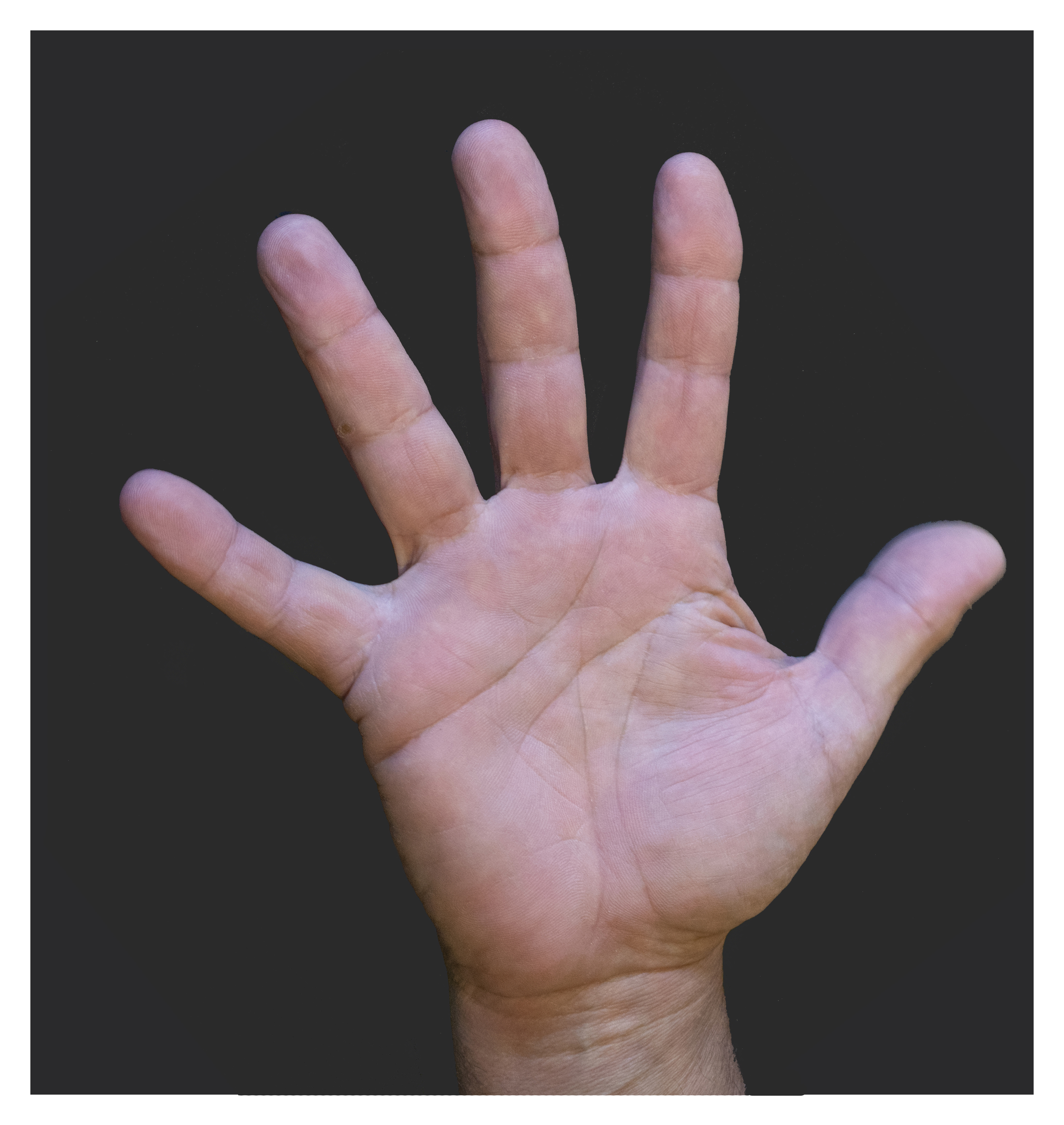 Male palm